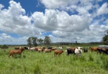 Disaster assistance guidelines expanded