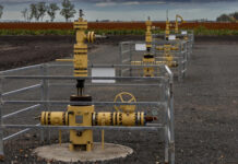 Surat basin open for further gas exploration