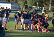 Cods stun Emus at Fish Tank