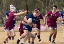 Cowboys stampede crushes Diehards finals aspiration