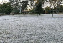 Weekend frost and sunny skies forecast