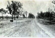 The Leichhardt Highway