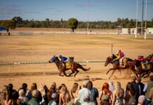Past gladiators race to Bassett Park