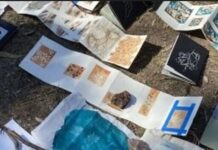 Wildflowering by Design coming to John Mullins Memorial Art Gallery