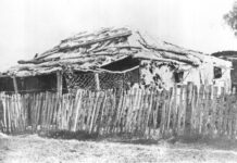 The last bark hut