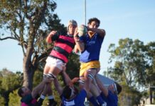 Downs Rugby Results