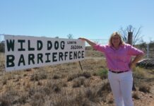 Ageing sections of wild dog fence to be repaired