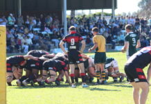 Cods season ends at hands of the Black Pigs