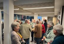 Yarn bombing Chinchilla