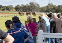 Tara claims another Cup