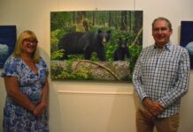 Around the world with a paintbrush