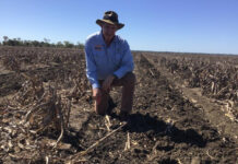 Wheel tracks a tough problem