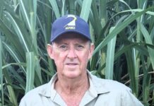 A defining moment for the sugarcane industry.