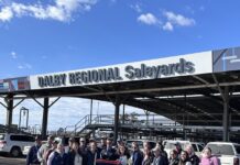 American students visit Dalby Regional Sale Yard