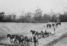 Dam digging at Tara, 1932