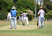Wilsons 80 steers Goondiwindi to victory