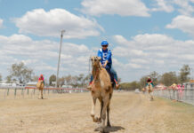 Wandoan Camel Races return