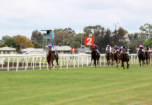 Weather can’t dampen spirits spirits at Dalby Rugby Races