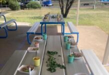 Students explore new flavours