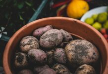 Supporting harmonised approach to PMTV management