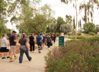 STEM strolls a success