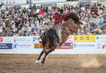 Brennan hoping third time’s a charm