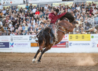 Brennan hoping third time’s a charm