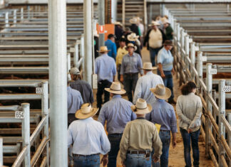 The heart of the Western Downs