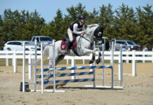 Bronze for Queensland