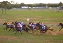 The perfect last weekend of holidays