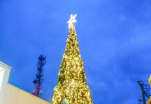 Lighting up Christmas