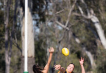 Hawks gearing up for 2026