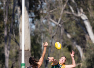 Hawks gearing up for 2026