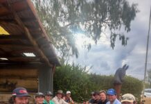 Archer spell the difference