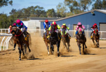 Racing returns to Basset Park