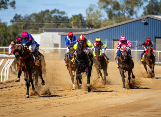 Racing returns to Basset Park