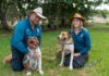 Animal inspection program begins in Western Downs