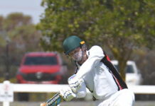 Souths storm to 200-run victory over Wallumbilla
