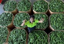 Funky Food calls on farmers for surplus, quirky and imperfect picks