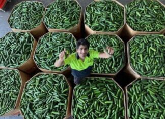 Funky Food calls on farmers for surplus, quirky and imperfect picks