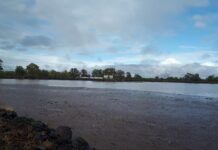 Cash splash for local projects