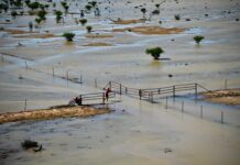 Rural Aid Calls for Farmer Registrations as Disasters Escalate Nationwide