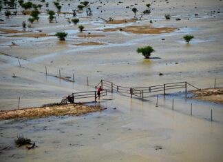 Rural Aid Calls for Farmer Registrations as Disasters Escalate Nationwide