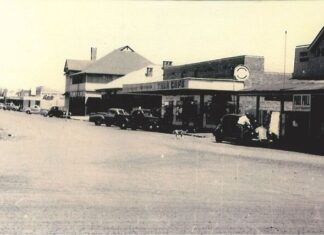 Tara through the lens in time