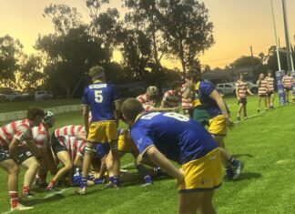 Brave Colts suffer defeat