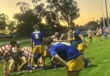 Brave Wheatmen Colts suffer heavy defeat
