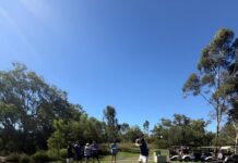 Record numbers for Dalby Wheatmen golf day