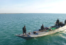 Why biosecurity matters now more than ever