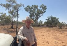 Flood Recovery, Tick Risk, and Staying Ready