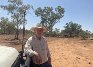 Flood Recovery, Tick Risk, and Staying Ready